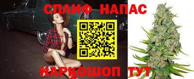 гашик Туймазы
