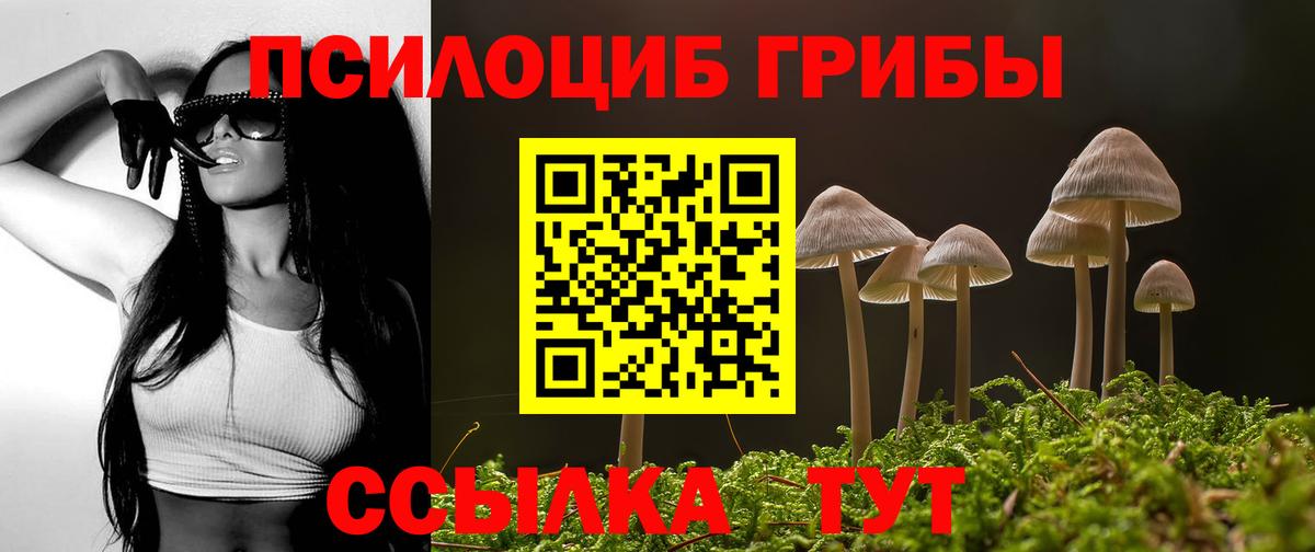 Псилоцибиновые грибы MAGIC MUSHROOMS  Вход с VPN  Бахчисарай 